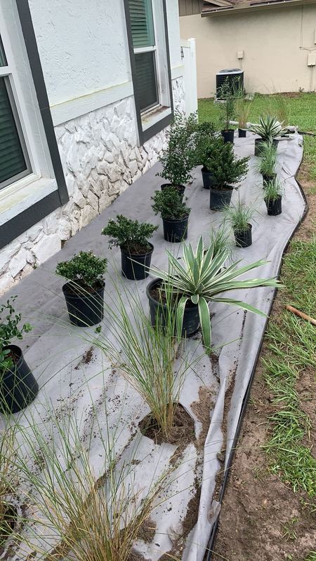Staging perennials before placement.