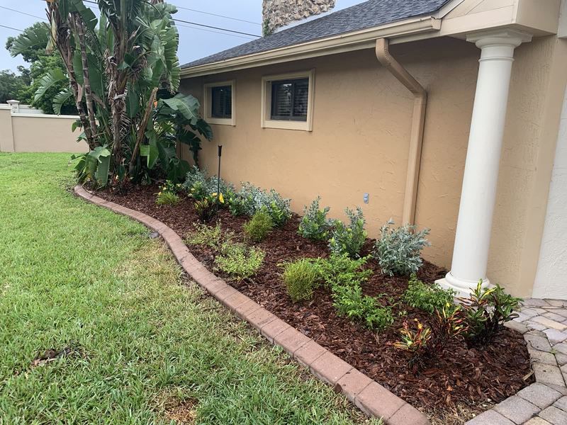 Concrete-edged bed with fresh mulch along the front lawn.